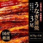 うなぎ 蒲焼 140g