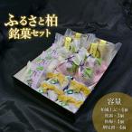 銘菓セット 和菓子 カステラ 羽二重餅