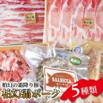 豚肉詰合せ 柏幻霜ポーク 切り落し ロース