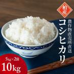 コシヒカリ 精米