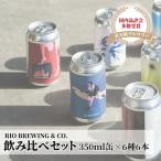 ビール 飲み比べ 6本