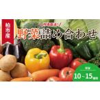 野菜詰合せ 場直送 おまかせ