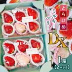 とちひめ ミルキーベリー食べ比べセット