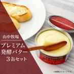 山中牧場プレミアム発酵バター3缶 NIKKEIプラス1