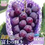 富士の輝き1房 600g以上