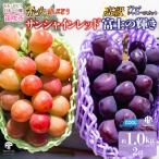 サンシャインレッド 富士の輝き 食べ比べセット 約1.0kg