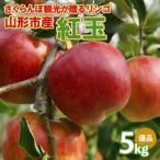 fu.... налог вишня туристический ... яблоко . шар ..... super 5kg FY26-040 Yamagata префектура Yamagata город 