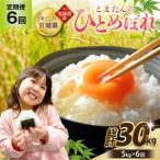 ふるさと納税 6回 定期