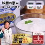 球磨の恵みヨーグルト 4kg
