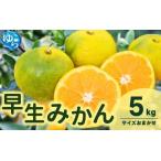 由良 早生 みかん サイズおまかせ 5kg