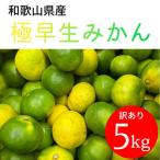 有田みかん 大玉 大粒 5kg