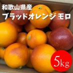 和歌山 有田 ブラッドオレンジ モロ 5kg