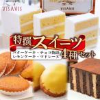 VISAVIS特撰セット 特選バターケーキ