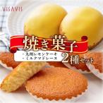 焼き菓子 2種セット 計9点