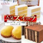 VISAVIS セット 特撰バターケーキ