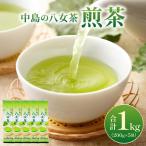 お茶類 緑茶 茶葉 ティーバッグ 八女茶 中島製茶本舗