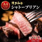 希少部位 博多和牛 シャトーブリアン 750g