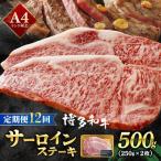A4ランク以上 博多和牛 サーロインステーキ 250g×1枚