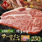 A4ランク以上 博多和牛 サーロインステーキ 250g×1枚