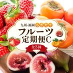 九州 福岡もぎたて フルーツ定期便