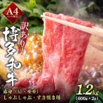 A4ランク以上 博多和牛 赤身 肩 モモ 霜降り