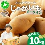 じゃがいも メークイン 約10kg