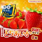 いちご お試し とちあいか 8粒以上