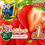 いちご 2L以上