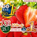 いちご 2L以上