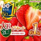 いちご 2L以上