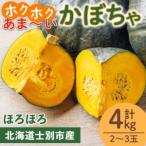 fu.... налог Hokkaido . другой производство тыква ....4kg 10 месяц средний . после подготовка . по возможности отправка [. person сельское хозяйство .] A7143 Hokkaido . другой город 