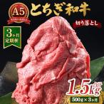 とちぎ和牛 A5 切り落とし 500g