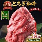 とちぎ和牛 A5 切り落とし 500g