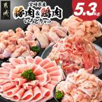 産豚肉&鶏肉いろどり5.3kgセット