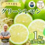 グリーンレモン 1kg
