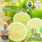 グリーンレモン 2kg