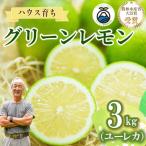 グリーンレモン 3kg