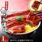 鹿児島産うなぎ蒲焼 170g×1尾