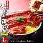 鹿児島産 うなぎ 蒲焼 170g×1尾