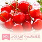 さくらんぼ やまがた紅王 Lサイズ 500g