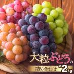 大粒ぶどうの詰合せ 約2kg