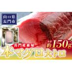 10179 長門産養殖本マグロ 大トロ柵 150g