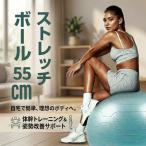 fu.... налог стрейч мяч 55?p голубой мяч насос имеется [ тренировка ] Chiba префектура восток золотой город 