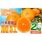 みかん 麗紅 2kg