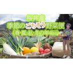 DE-4. 桜井産季節のごちそう野菜便