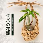自然が編んだ 花の舞台 クバの花籠 YT-4