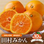 和歌山 田村みかん 約10kg