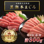 訳あり 不定貫 本マグロ 中トロ 赤身 食べ比べ