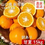 甘夏 15kgと つぎはぎ農園日記 セット