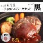 道の駅萩往還 レストラン 玄のハンバーグセット黒 5食